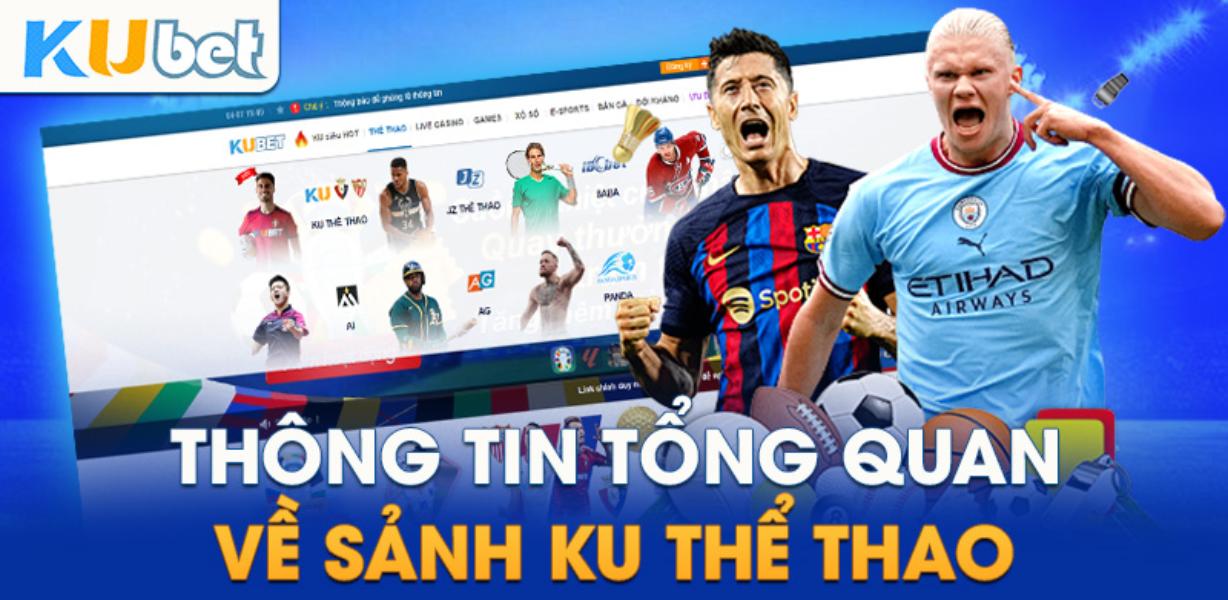 CJ5582 Câu Hỏi Thường Gặp